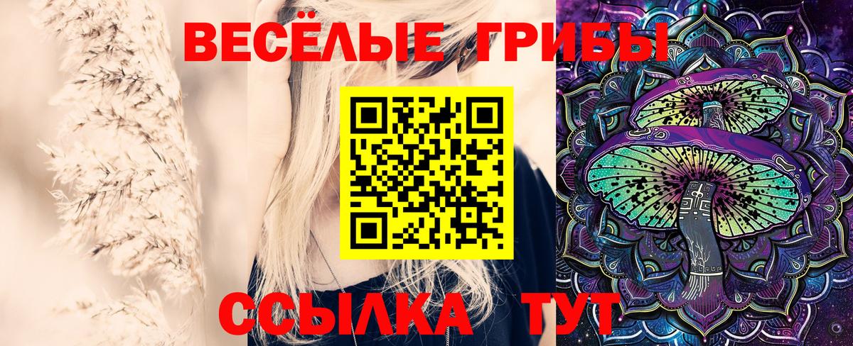 Псилоцибиновые грибы мицелий Курган