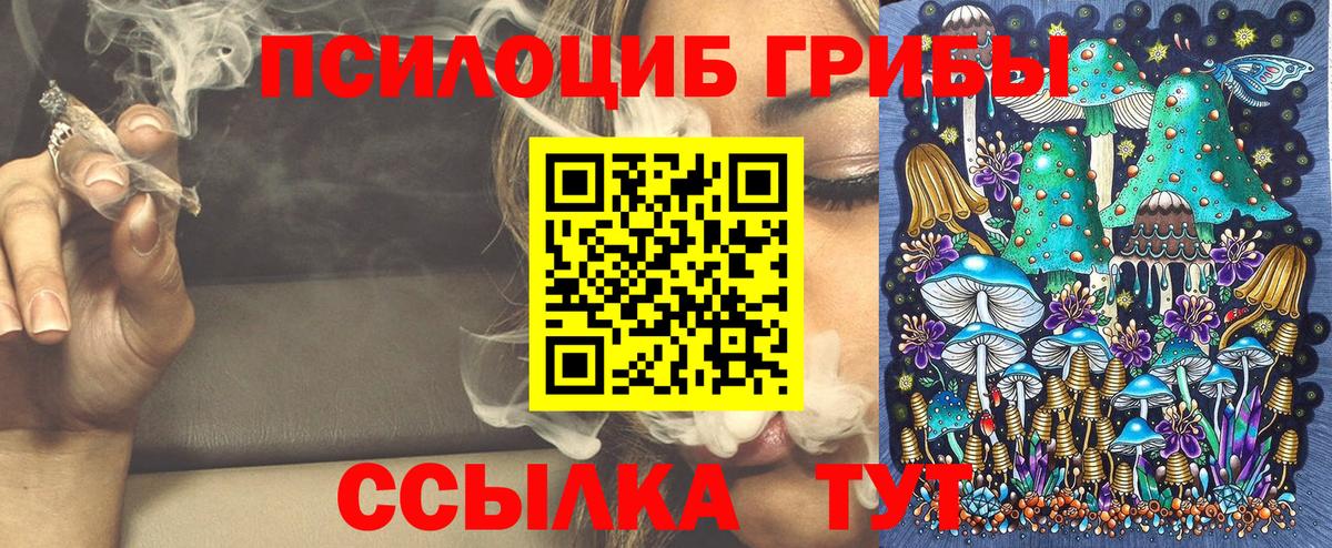 Курган  Галлюциногенные грибы Cubensis  Вход с VPN 